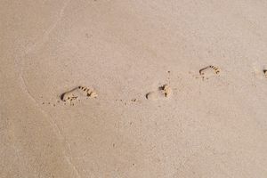 Footprints Footprints in the sand